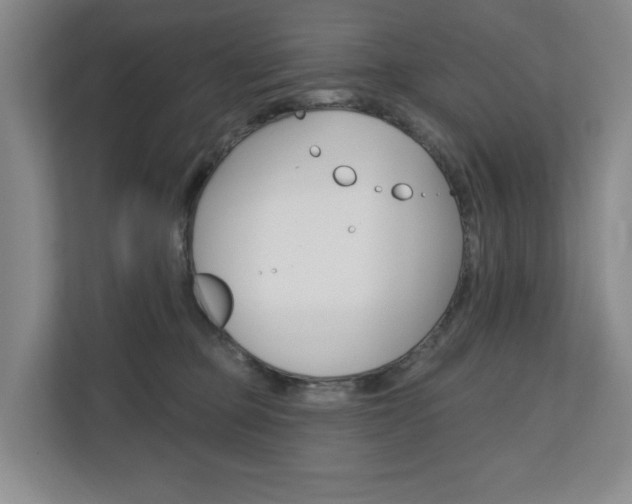 X0000110740373200906150934