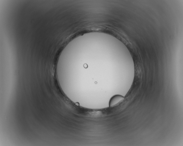 X0000110740374200906150934