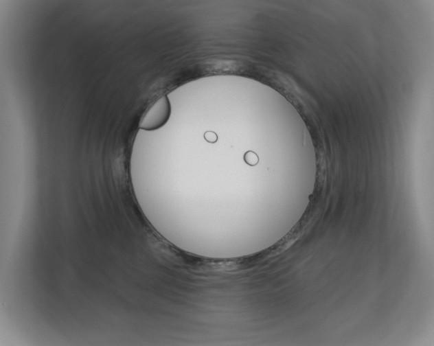 X0000110740377200906150934