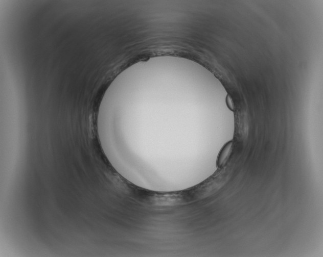 X0000110740378200906150934