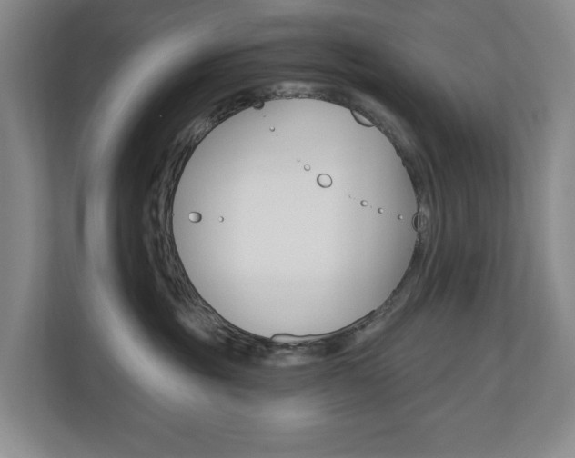X0000110740381200906150934