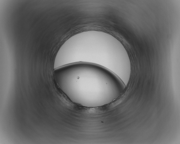 X0000110740382200906150934