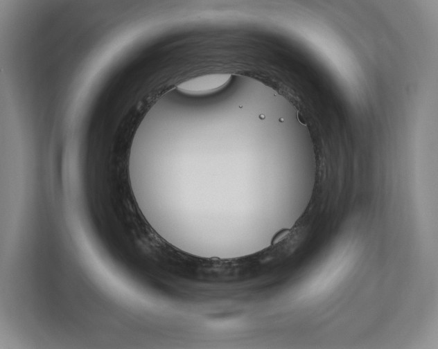 X0000110740383200906150934