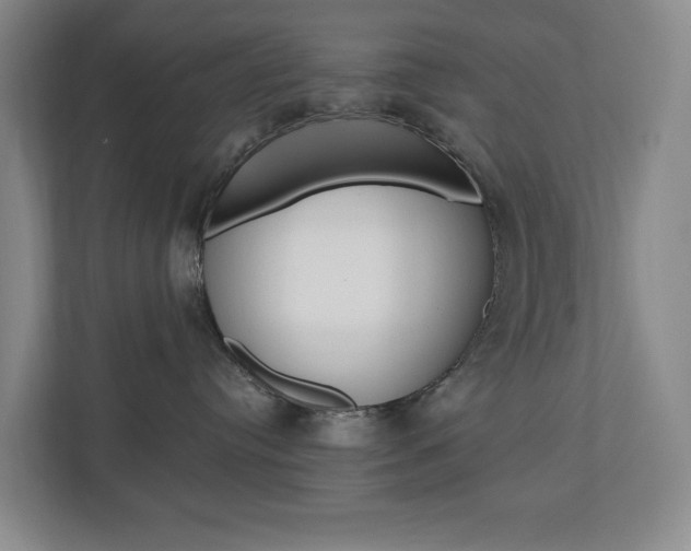 X0000110740384200906150934