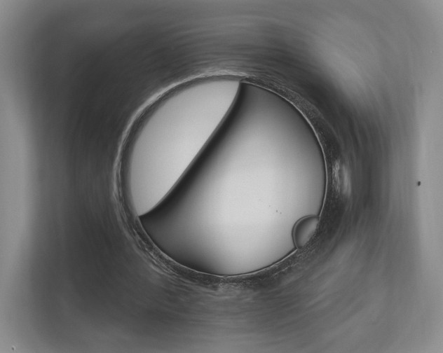 X0000110740388200906150933