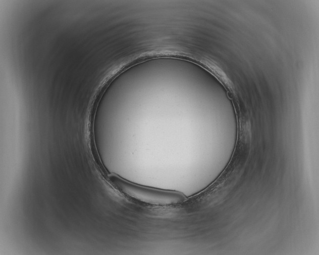 X0000110740389200906150933