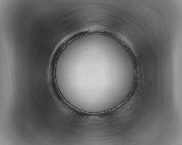 X0000110740392200906150933