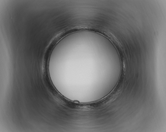 X0000110740396200906150933