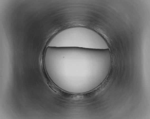 X0000110740398200906150933