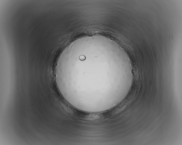 X0000110740418200906150933