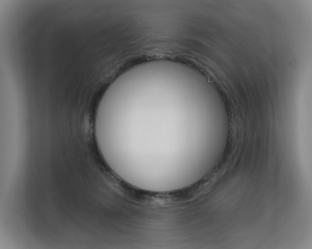 X0000110740420200906150933