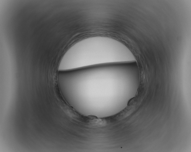 X0000110740421200906150933