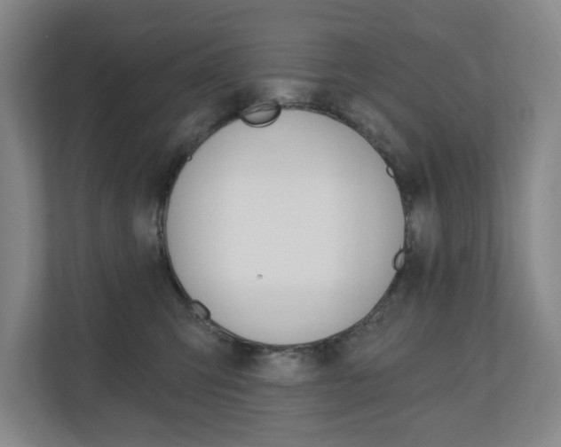 X0000110740423200906150933