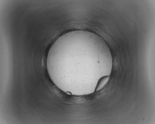 X0000110740424200906150933