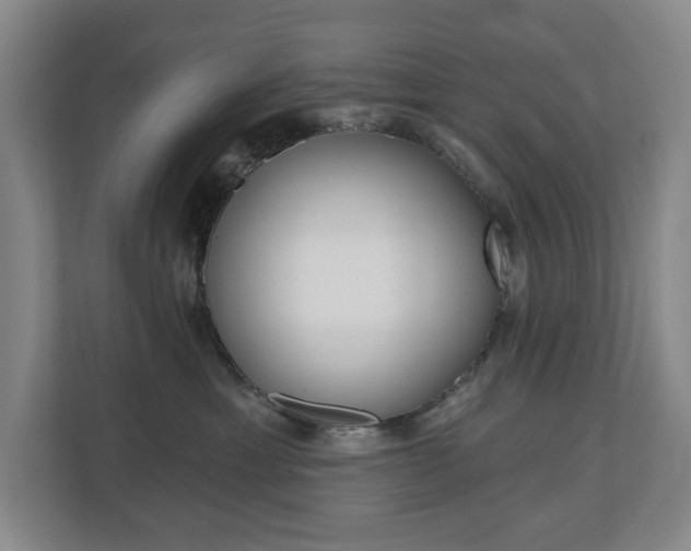 X0000110740429200906150933