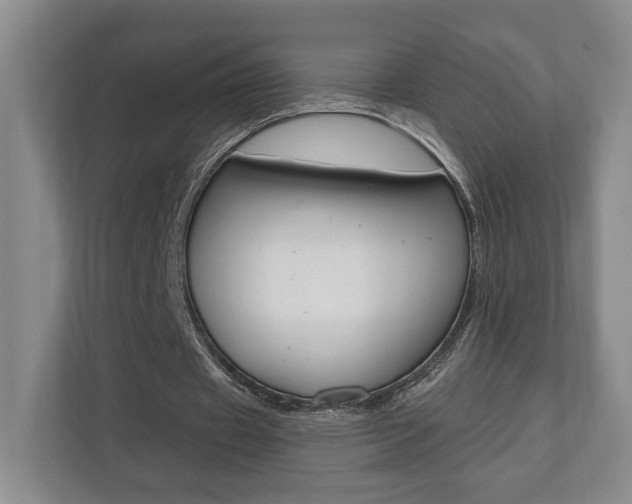 X0000110740433200906150932