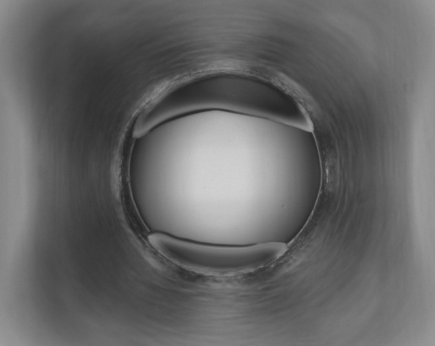 X0000110740436200906150932