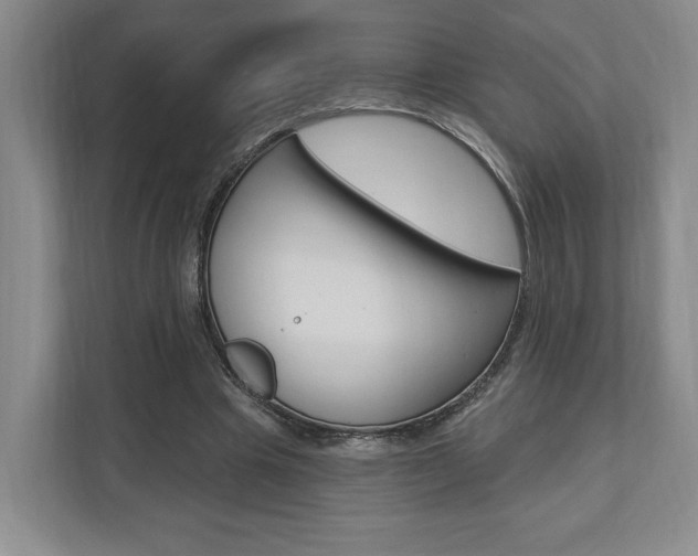 X0000110740441200906150932