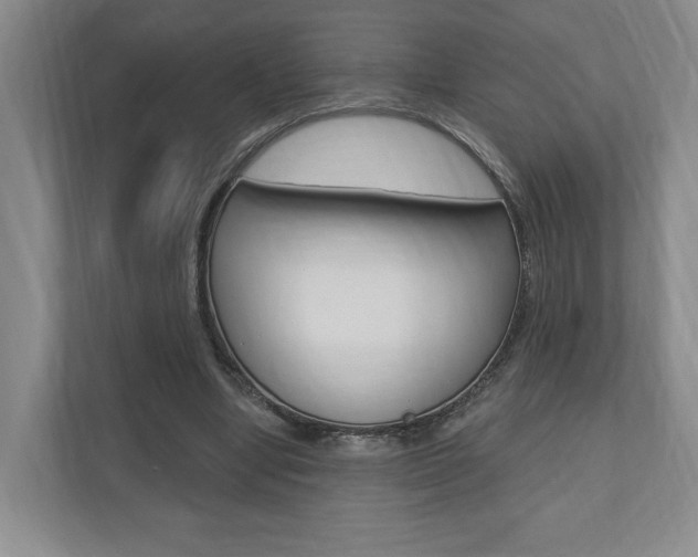 X0000110740442200906150932