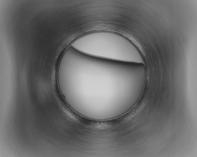 X0000110740445200906150932