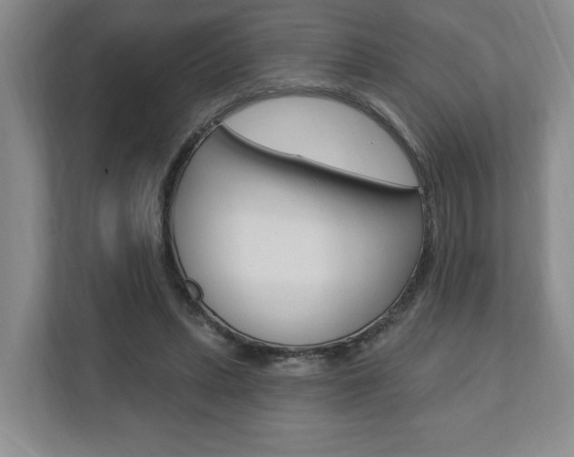 X0000110740447200906150932