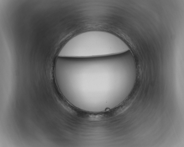 X0000110740450200906150932