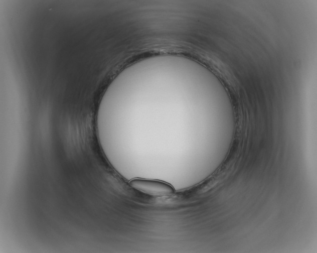 X0000110740461200906150932