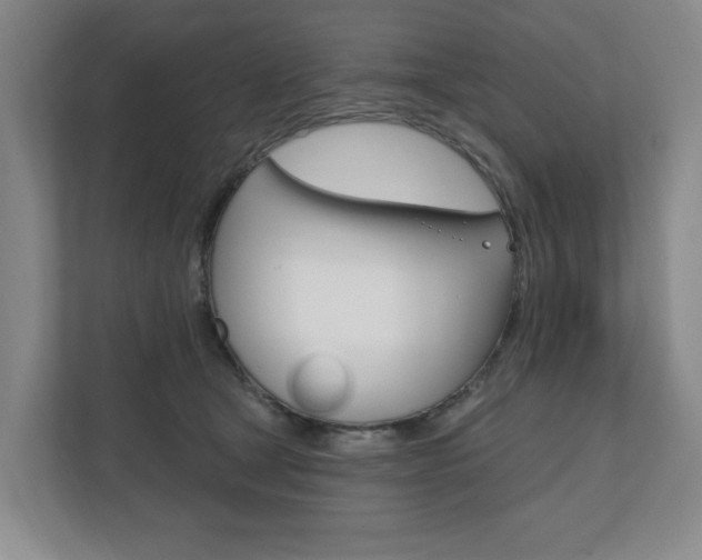 X0000110740465200906150932
