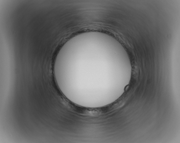 X0000110740466200906150932