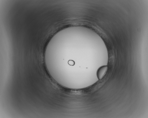 X0000110740469200906150932