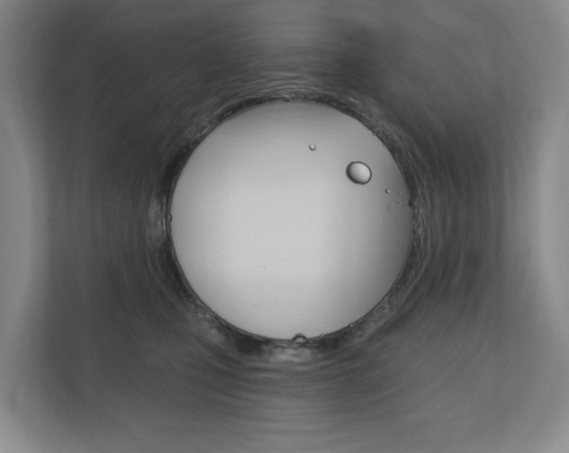 X0000110740471200906150932