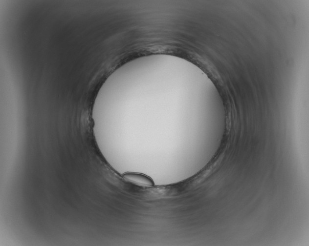 X0000110740473200906150932