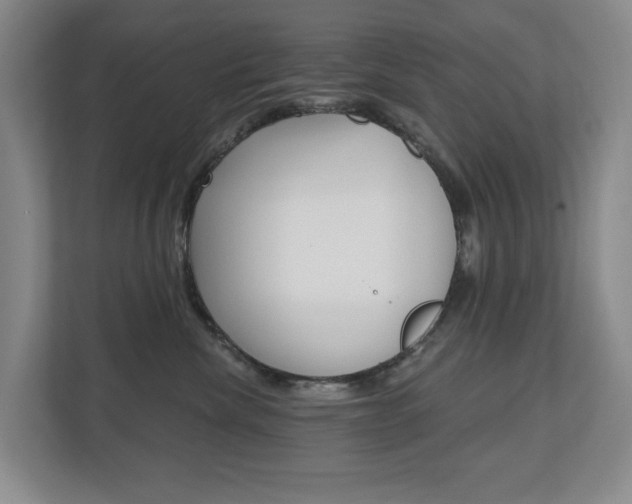 X0000110740476200906150932