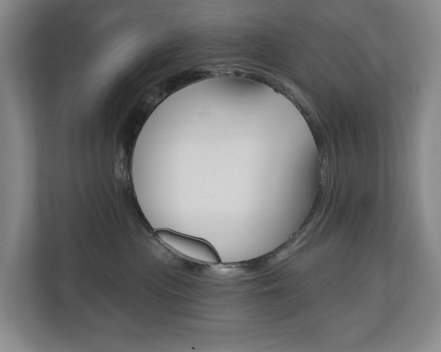 X0000110740477200906150932