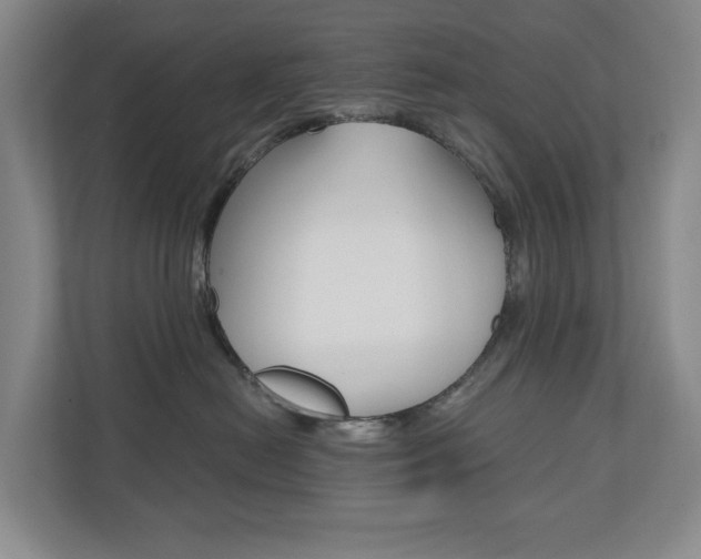 X0000110740478200906150932