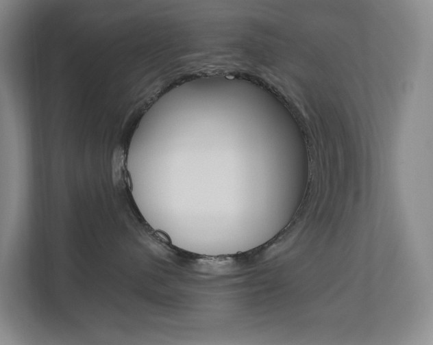 X0000110740480200906150933
