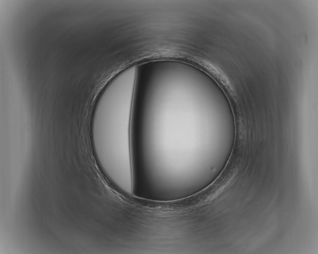 X0000110740481200906150932