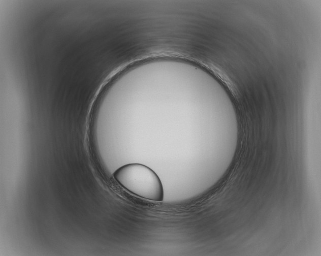 X0000110740488200906150932