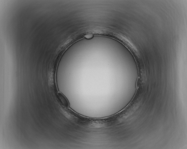 X0000110740489200906150932