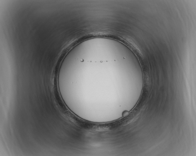 X0000110740491200906150932