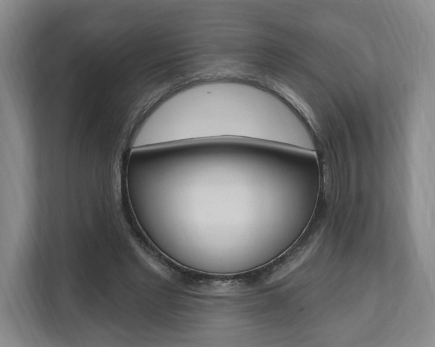 X0000110740493200906150932