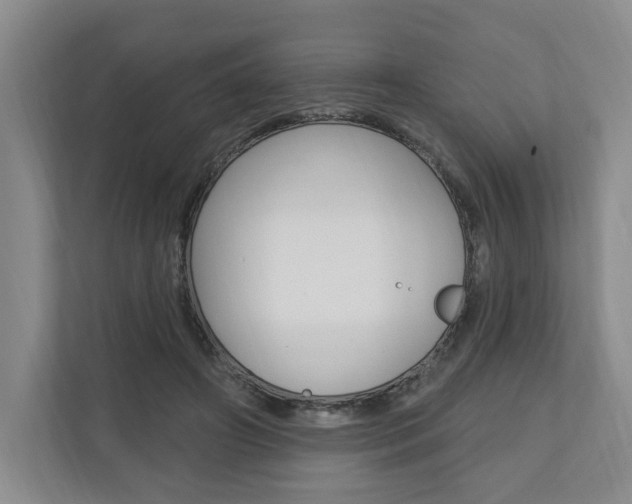 X0000110740498200906150932