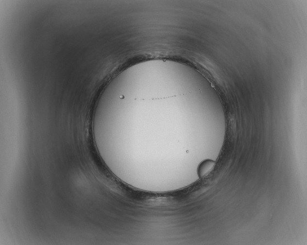 X0000110740499200906150932