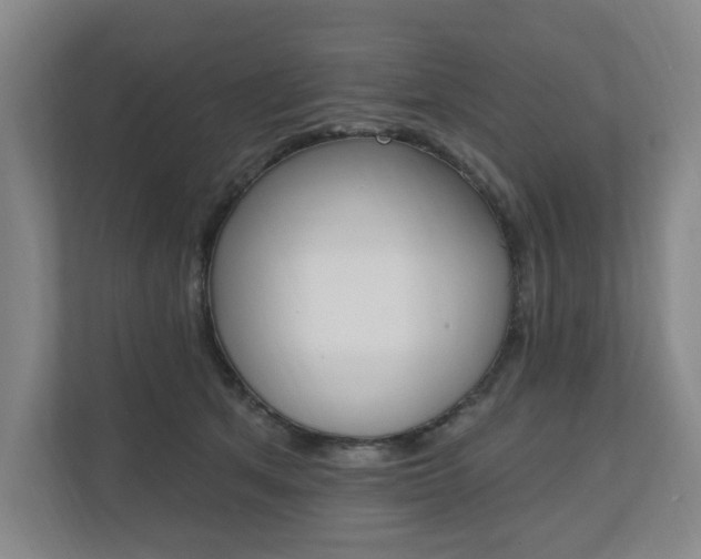 X0000110740513200906150931
