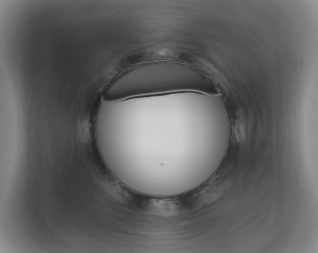 X0000110740520200906150931