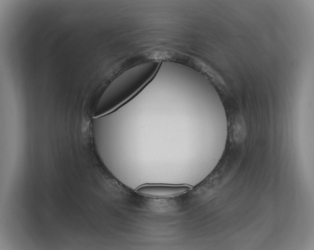 X0000110740521200906150931