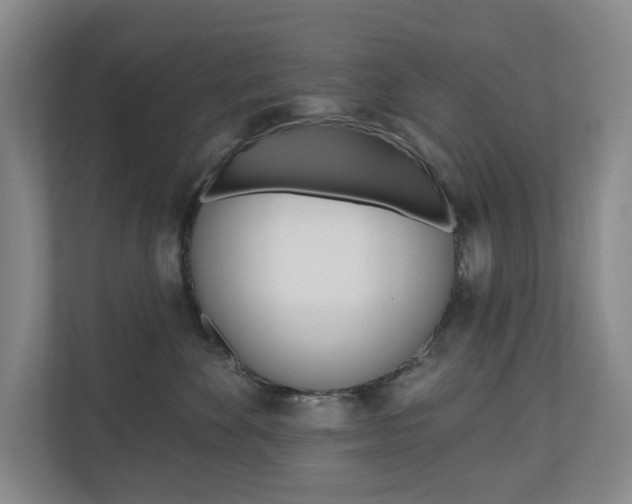 X0000110740524200906150931