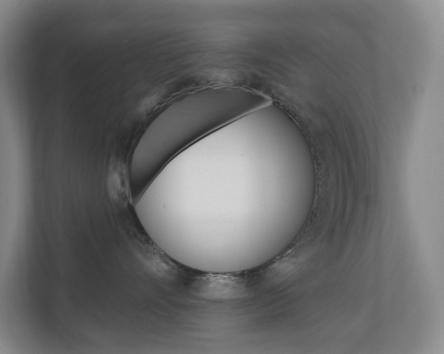 X0000110740528200906150931