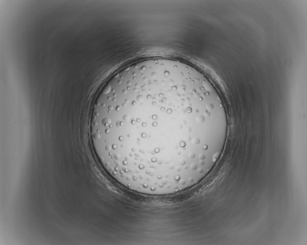 X0000110740529200906150931