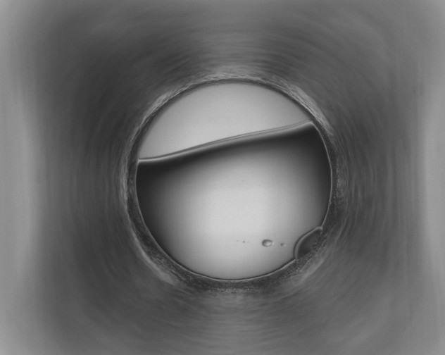 X0000110740530200906150931